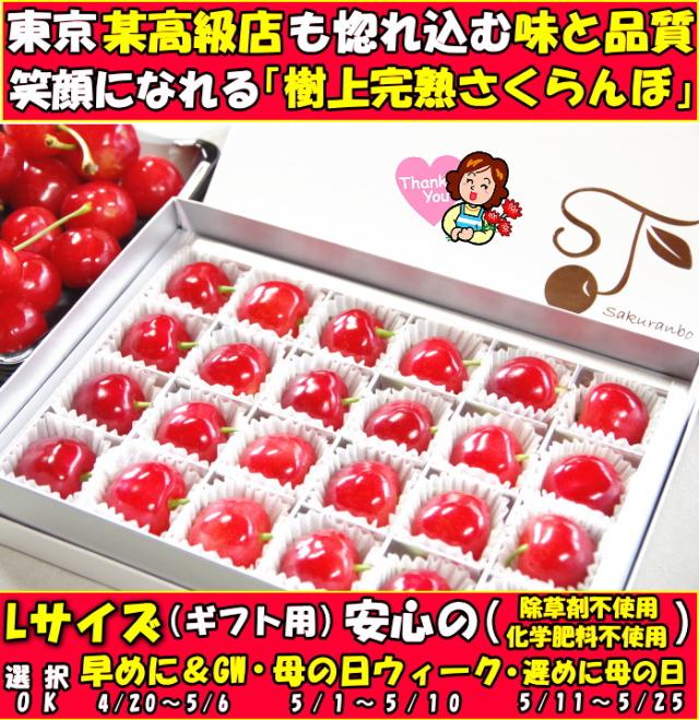 山形母の日さくらんぼlファースト