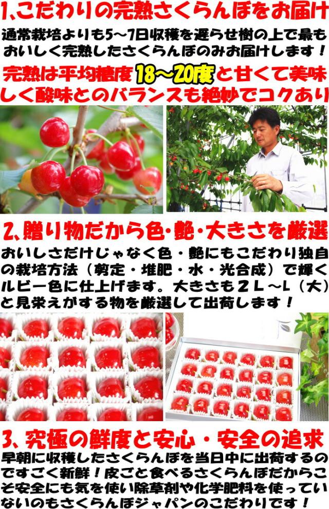 山形母の日さくらんぼ生産者アピール2