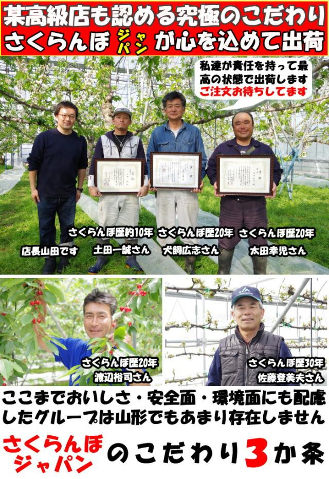 山形畑の宝石箱生産者アピール１