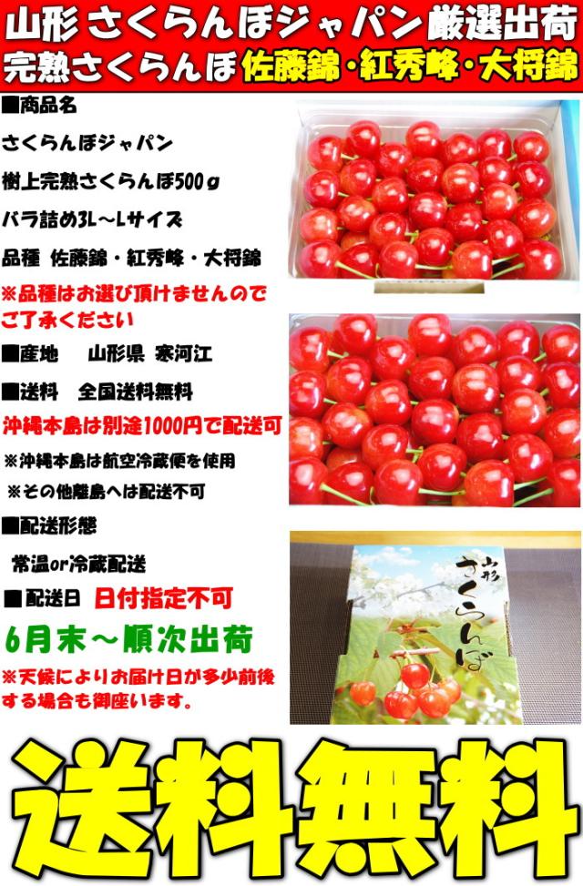 山形さくらんぼ500gsp