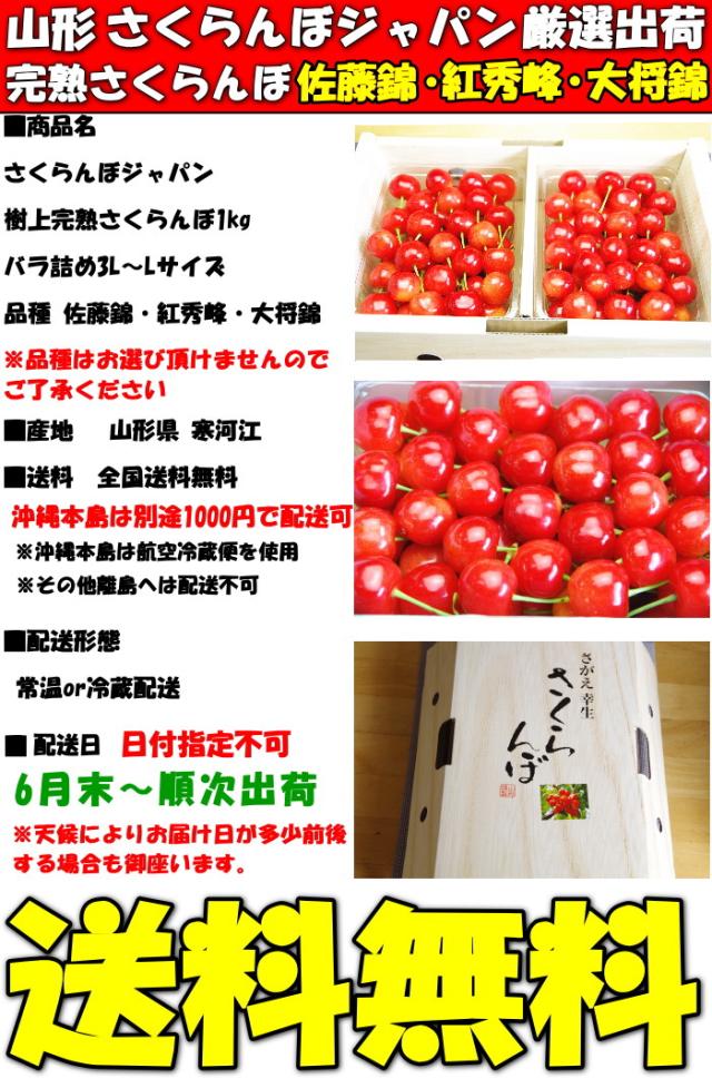 山形さくらんぼ500gsp