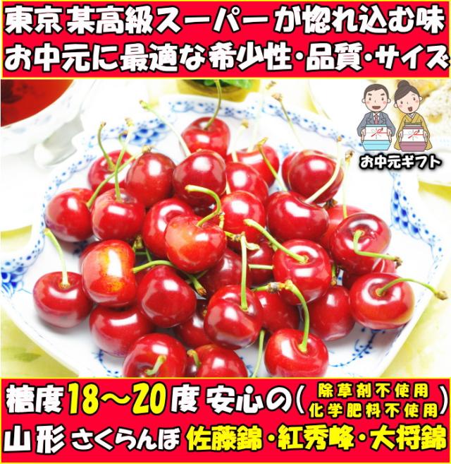 山形さくらんぼ露地ファースト