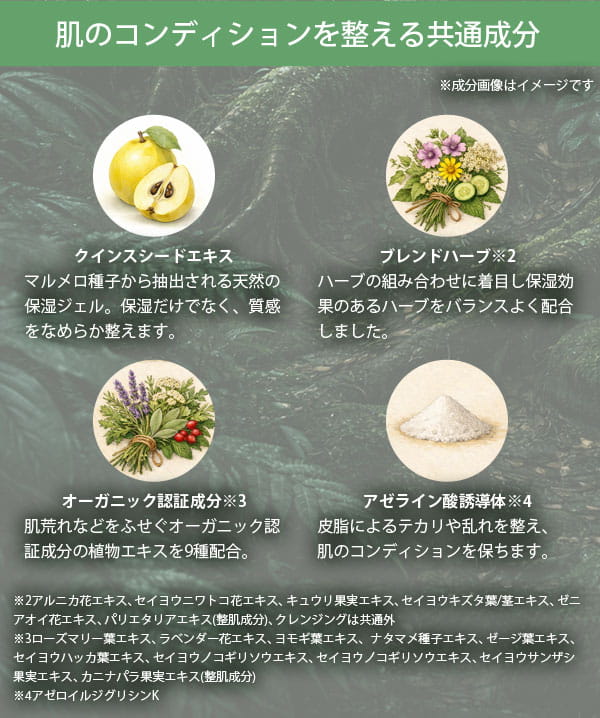 肌のコンディションを整える共通部分