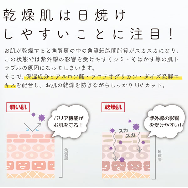 乾燥肌は日焼けしやすい事に注目!