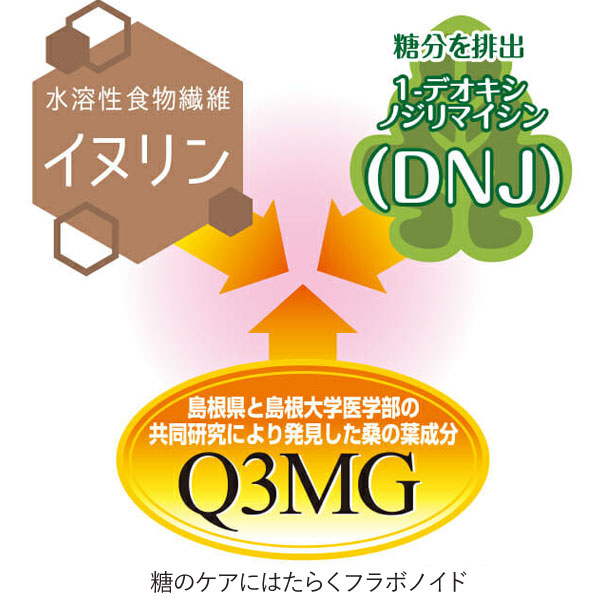 イヌリンとDNJ