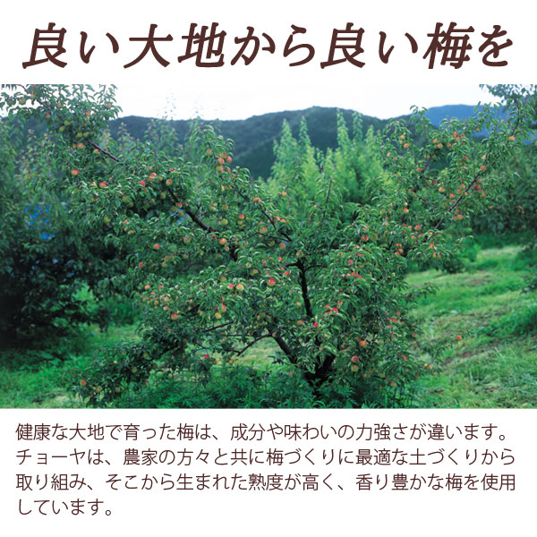 良い大地から良い梅を—健康な大地で育った梅は、成分や味わいの力強さが違います。