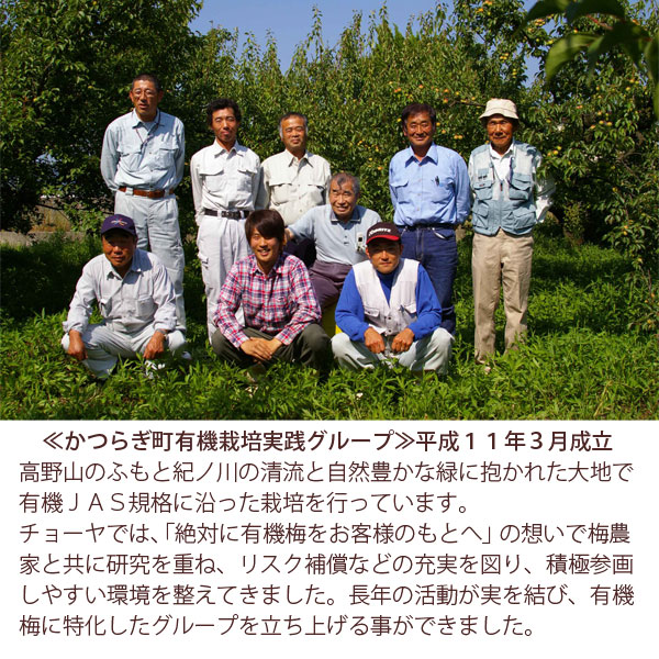 高野山のふもと紀ノ川の清流と自然豊かな緑に抱かれた大地有機JAS規格に沿った栽培を行っています。