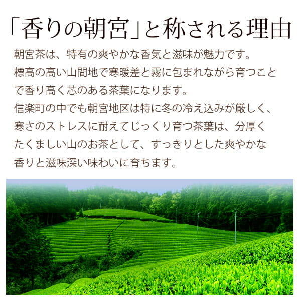 香りの朝宮と称される理由