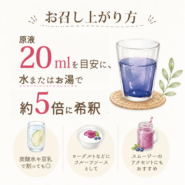 お召し上がり方