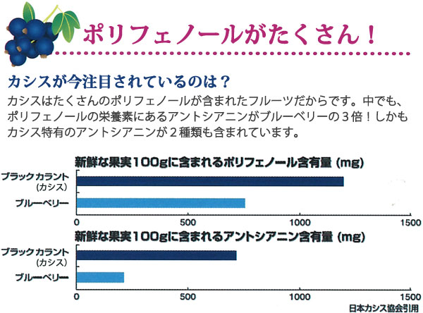 発酵カシス ポリフェノールが沢山