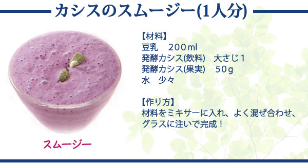 発酵カシス カシスのスムージー