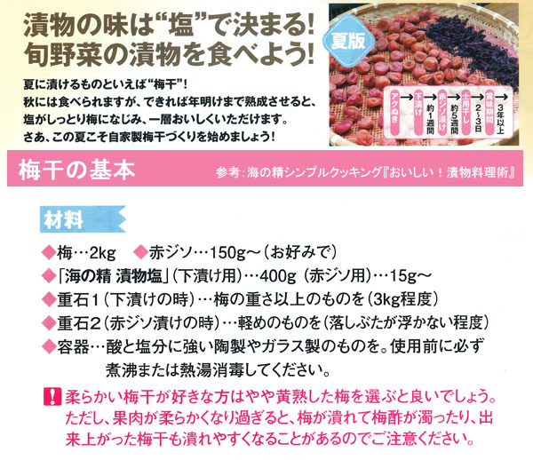 漬物のアジは塩で決まる！旬野菜の漬物を食べよう！梅干の付け方 梅干用 青梅 梅干の基本