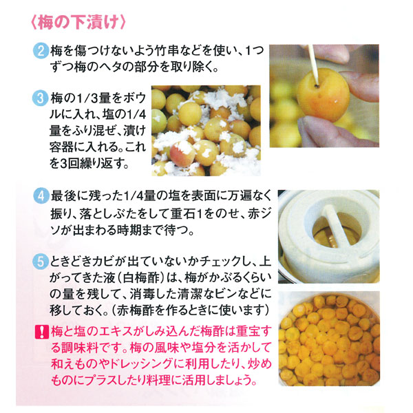 梅干の下漬け 梅干用 青梅