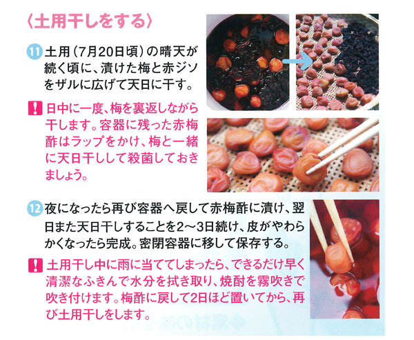 土用干しをする 梅干用 青梅