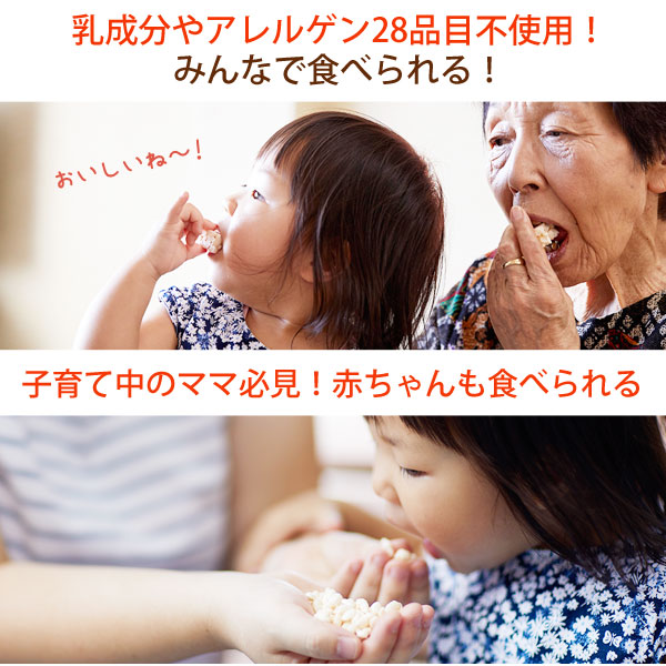 乳成分・アレルゲン28品目不使用のおやつ