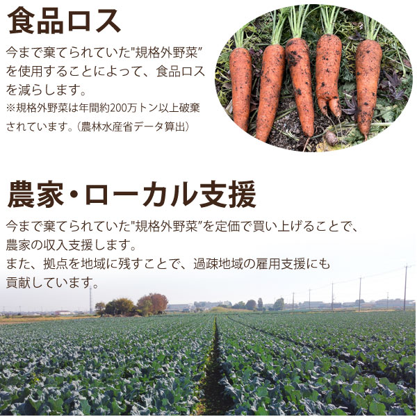 食品ロス・・・今まで捨てられていた規格外野菜を使用することによって、食品ロスを減らします。農家・ローカル支援・・・今まで捨てられていた野菜を定価で買い上げることで、農家の収入支援をします。また、拠点を地域に残すことで、過疎地域の雇用支援にも貢献しています。