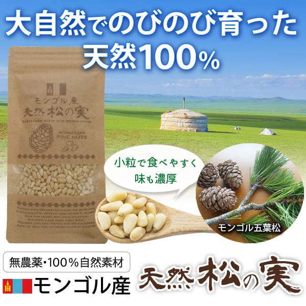 大自然でのびのび育った天然100%モンゴル産天然松の実