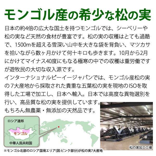 モンゴル産の希少な松の実