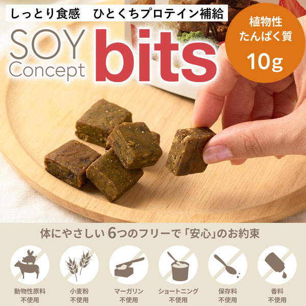 SOY Concept bits(ソイコンセプトビッツ)