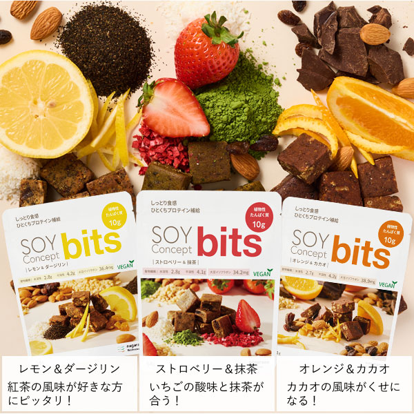 SOY Concept bits(ソイコンセプトビッツ)