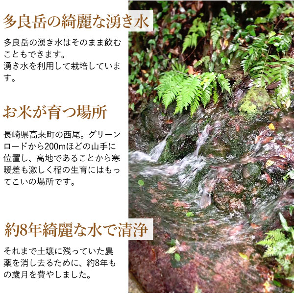 みのるオートのひのひかり