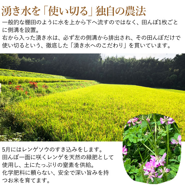 みのるオートのひのひかり