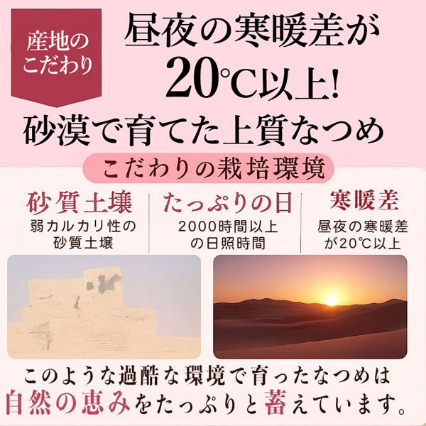 なつめチップス