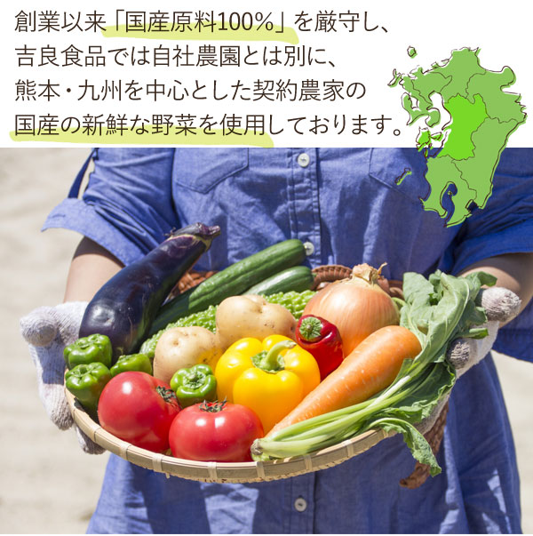 国産・九州産の乾燥野菜