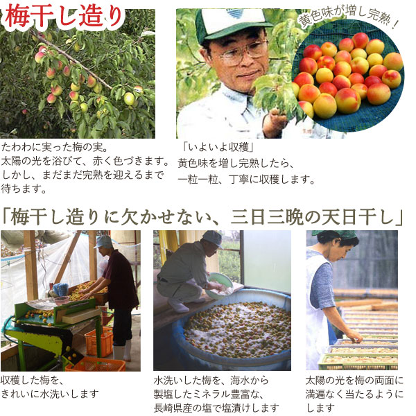 梅干し造り「梅干し造りに欠かせない、三日三晩の天日干し」