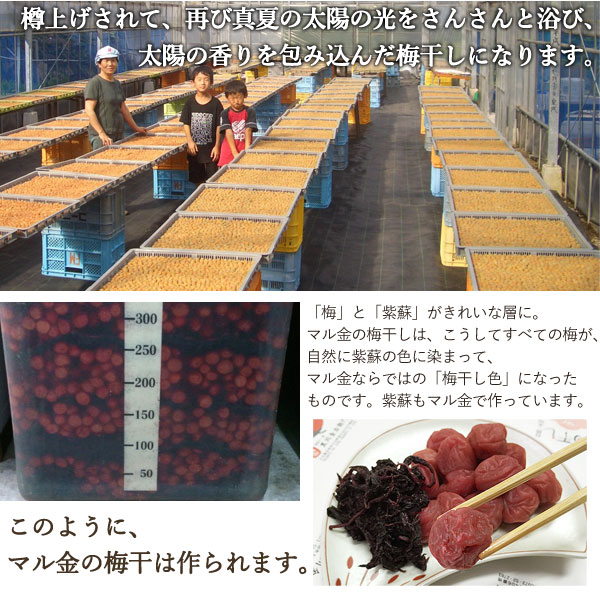 太陽の香りを包み込んだ梅干しになります。