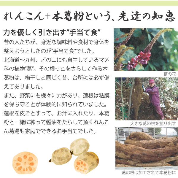 れんこん+本粉葛粉という先達の知恵。力を優しく引き出す手当て食。昔の人たちが、身近な調味料で身体を整えようとしたのが手当て食でした。北海道〜九州、どの山にも自生しているマメ科の植物「葛」。その根っこをさらして作る本葛粉は、梅干しと同じく昔、台所には必ず備えてありました。また、野菜にも様々な力があり、蓮根を皮ごとすって、お汁に入れたり、本葛粉と一緒に練って醤油をたらして頂くれんこん葛湯も家庭でできるお手当てでした。