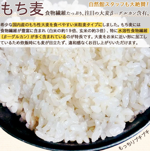 もち麦は食物繊維たっぷり大麦β-グルテン