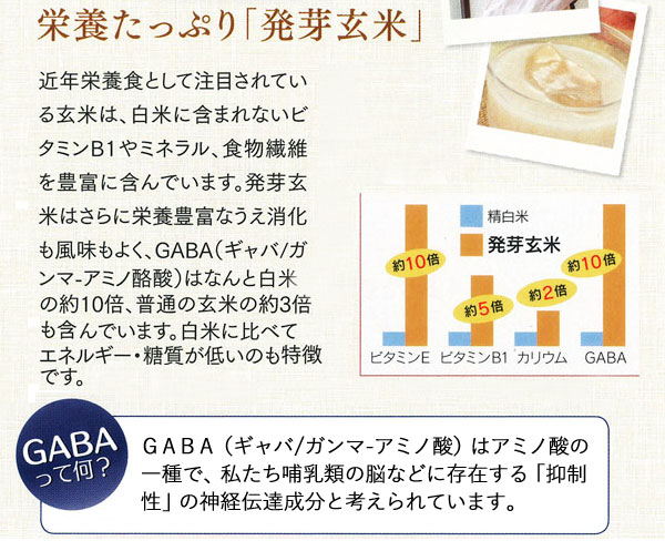 せんべいや 発芽玄米入り食べる甘酒 500g の通販はau Pure Heart 自然館