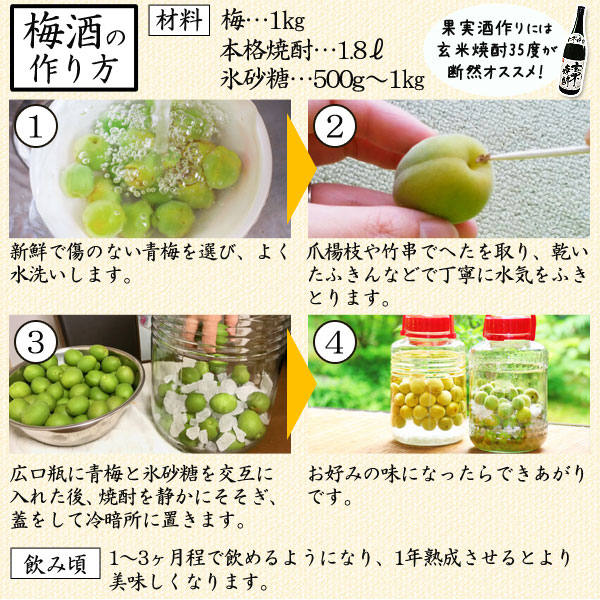 梅酒の作り方