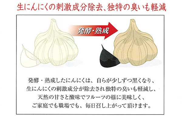生にんにくの刺激成分除去、独特の臭いも軽減 生にんにくの刺激成分除去、独特の臭いも軽減