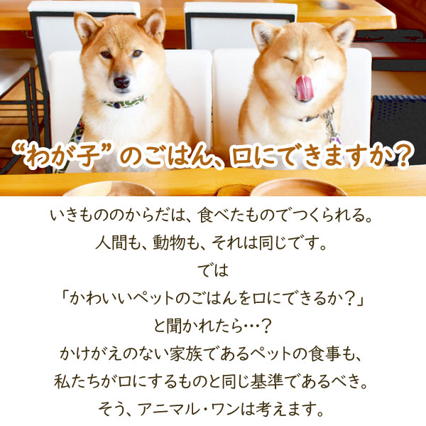 わが子のごはん、口にできますか?