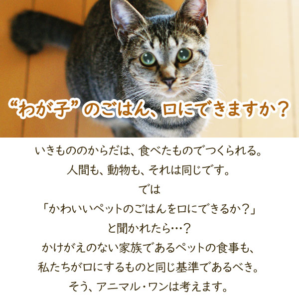 わが子のごはん、口にできますか?