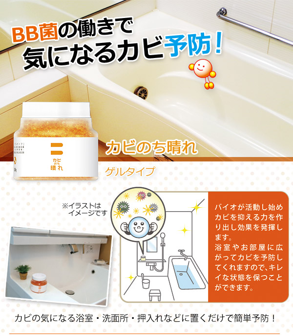 BB菌の働きで気になるカビ予防!