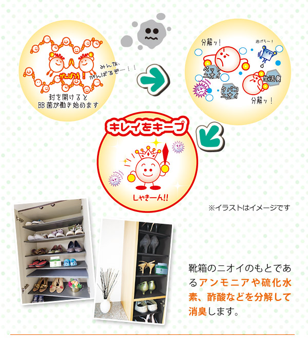 靴箱のニオイのもとであるアンモニアや硫化水素、酢酸などを分解して消臭!