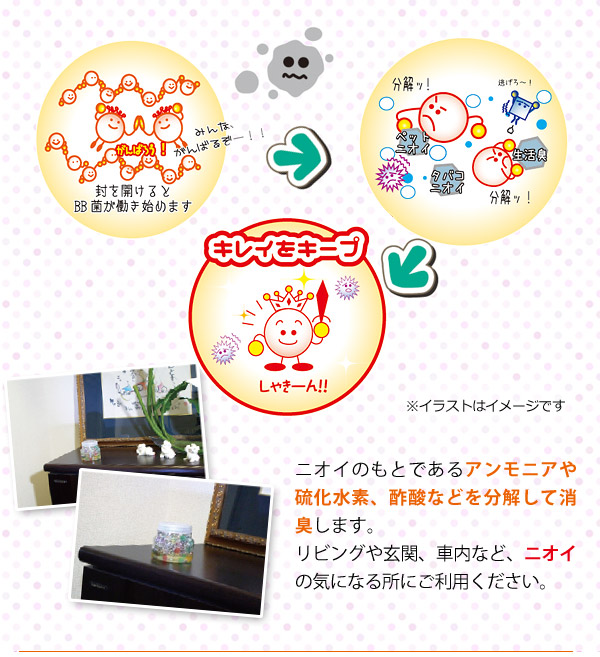 ニオイのもとであるアンモニアや硫化水素、酢酸などを分解して消臭!