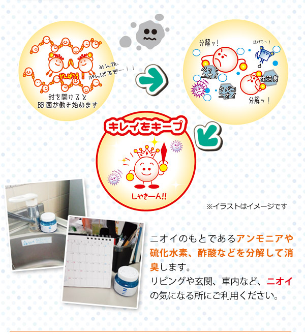 ニオイのもとであるアンモニアや硫化水素、酢酸などを分解して消臭!