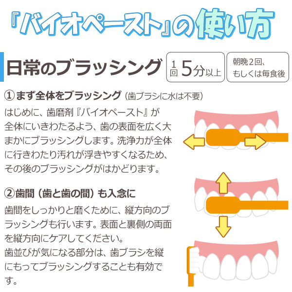 バイオペースト の使い方。日常のブラッシング