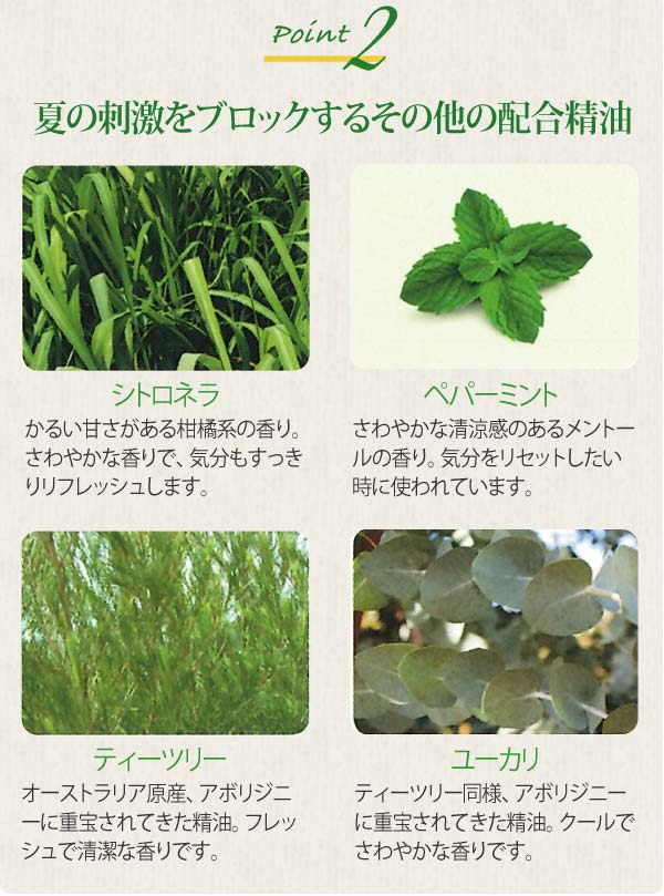 夏の刺激をブロックするその他の配合精油。シトロネラ、ペパーミント、ティーツリー、ユーカリ