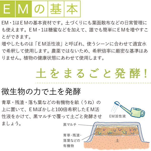 EMの基本