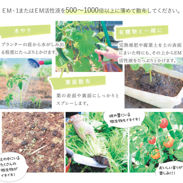 自分で増やして使えるEM家庭菜園の基本資材