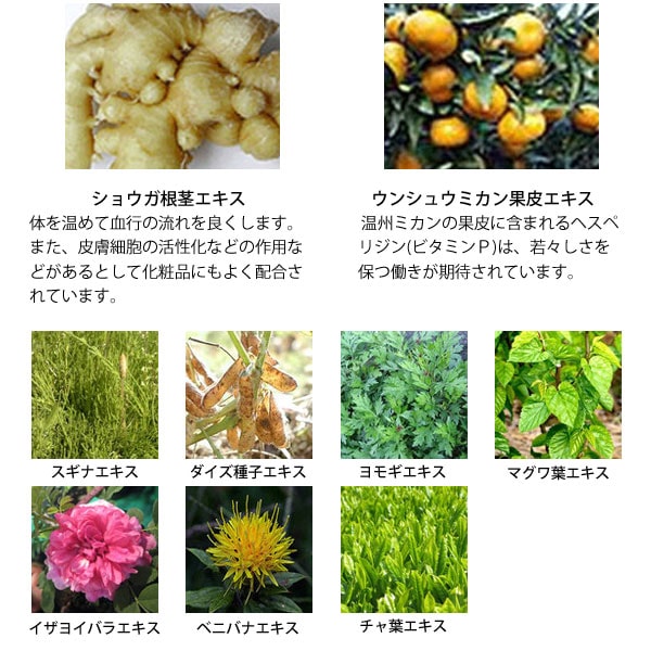 エクシートスキンクリームのこだわり２、11種類の植物エキス配合