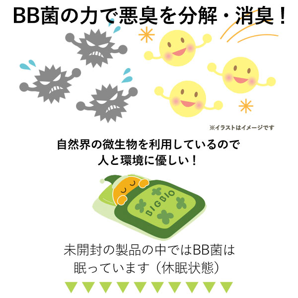 BB菌による消臭効果、防カビ効果を確認
