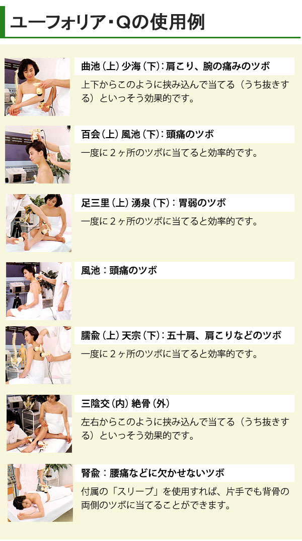 ユーフォリア・Qの使用例