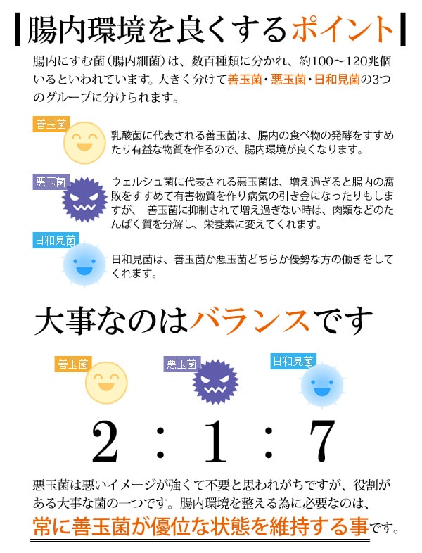 大事なのはバランス!腸内環境を良くするポイント