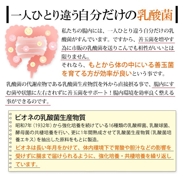 自分だけの乳酸菌を育てる